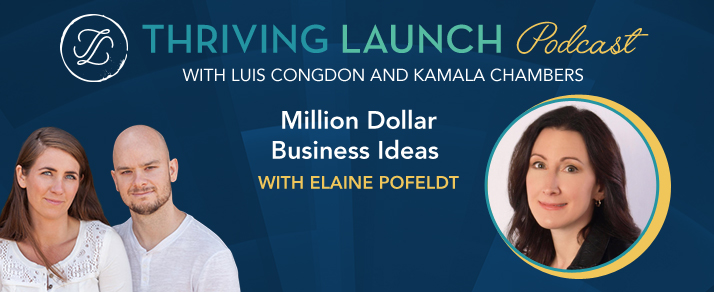 Million Dollar Business Ideas – Elaine Pofeldt